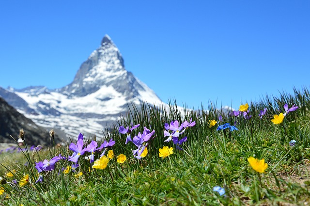 hora  matterhorn