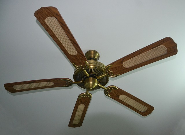 ventilátor na stropě.jpg